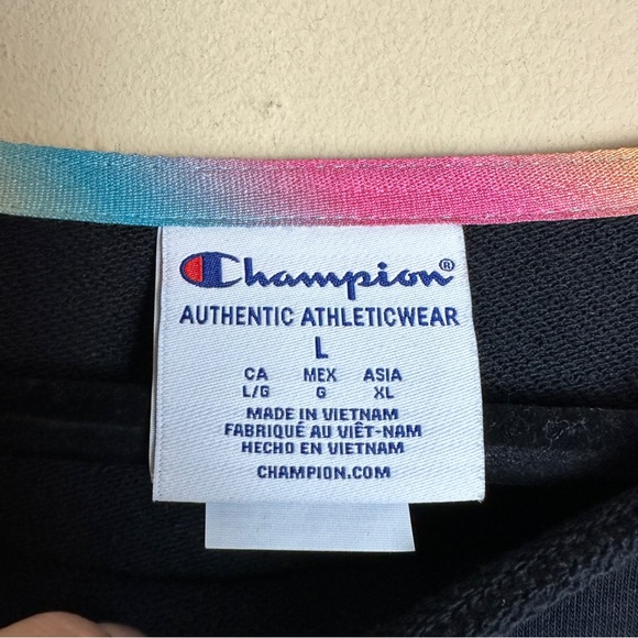 Champion Campus French Terry Crewneck Sweatshirt Black White Rainbow Size Large - Picture 7 of 12